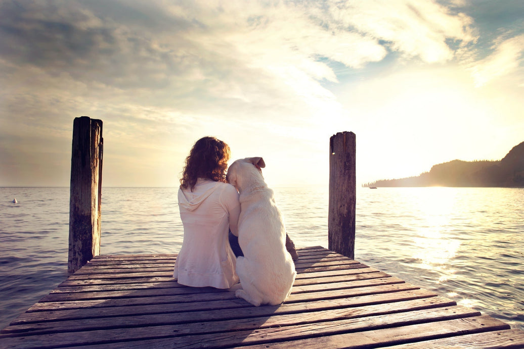 Probiotika und Depressionen - warum Bakterien auch wie Glueckspillen wirken koennen!