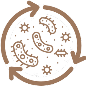 Icon Bakterien Wirksamkeit